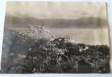 Carte postale corse d'occasion  Pont-Évêque