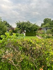 Schrebergarten kleingarten gebraucht kaufen  Lüneburg