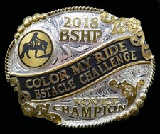Bshp color ride for sale  Mayfield