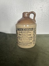 Vintage racoon mountain for sale  Farmington