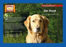 Hund kamishibai bildkarten gebraucht kaufen  Einbeck