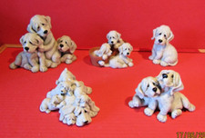 Quarry critters puppies for sale  SHEERNESS