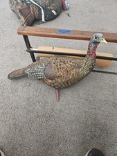 Lg. avian lcd for sale  Oolitic