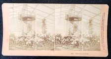 Usado, Foto ANTIGA Real Kilburn Stereoview Paraíso na Terra Estufa Kilburn comprar usado  Enviando para Brazil