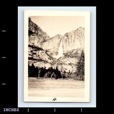 Old vintage photo for sale  Grass Valley