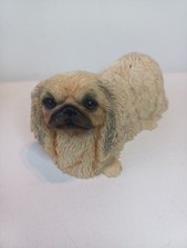 Pekingese leonardo collection for sale  LINCOLN