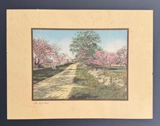 Turf path vintage for sale  Blaine