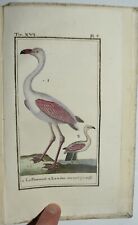 Buffon fig. 1792 usato  Arezzo