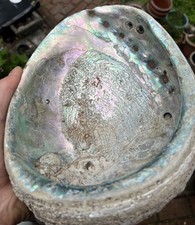 Old large pink for sale  Danville
