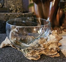 Wurzelholz glasvase blumenvase gebraucht kaufen  Glees, Wassenach, Wehr