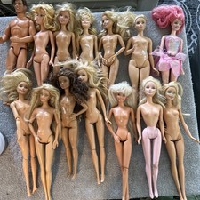 Lot fourteen barbie for sale  Mcintosh