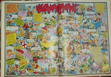 Jacovitti elezioni politiche usato  Torino