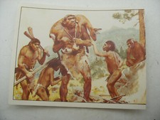 Stikers album panini d'occasion  Nogent-le-Roi