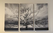 Large panel tree for sale  Anchor Point