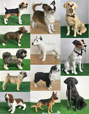 Sale leonardo dog for sale  PRESTON