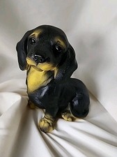 Realistic dachshund puppy for sale  Adrian