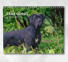 Cane corso calendar for sale  HORSHAM