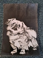 pekinese hunde gebraucht kaufen pekinese hunde gebraucht kaufen Hamburg