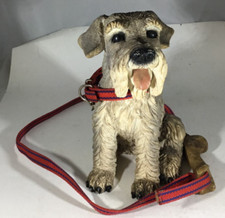 Gray minature schnauzer for sale  Harrisburg