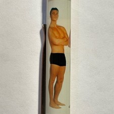 Male stripper floaty for sale  Coraopolis