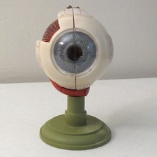 Somso eyeball times for sale  San Diego