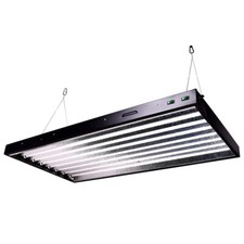 cfl grow light for sale cfl grow light for sale DUNDEE