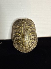 Pond turtle shell for sale  Port Orchard