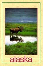 Alaskan bull moose for sale  Pelham