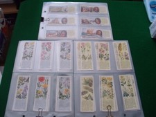Full sets typhoo for sale  STUDLEY