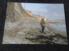 Lyme regis old for sale  ANSTRUTHER