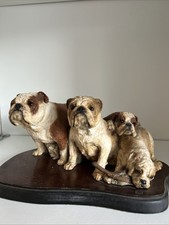 Killyglen english bulldog for sale  BIRMINGHAM