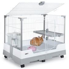Oiibo deluxe rabbit for sale  Walnut