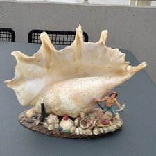 Conchiglia vintage pescatore usato  Castel San Pietro Terme