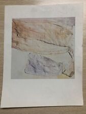 Robert rauschenberg tatto usato  Beinasco