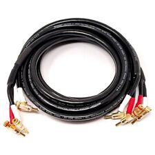 Neotech nes 3005 usato  San Cesareo