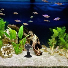 Nano bubbler pierres d'occasion  Expédié en France