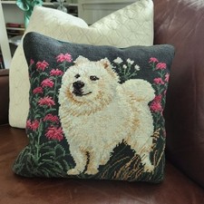 Samoyed white husky for sale  Daytona Beach
