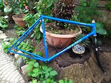 Telaio mtb vintage usato  Roma
