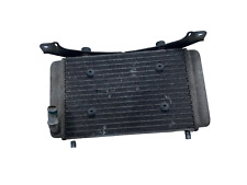 Radiatore acqua radiator usato  Frattaminore