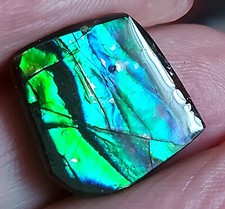 Grün blauer drachenschuppen gebraucht kaufen  Schweitenkirchen