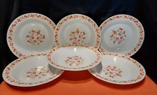Lot assiettes creuses d'occasion  Bordeaux-