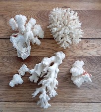 Lot coraux blancs d'occasion  Gueugnon