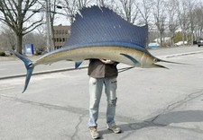 Sailfish 110 release for sale  Warwick
