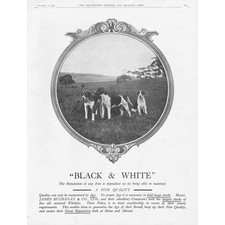 James buchanan black for sale  GLASGOW