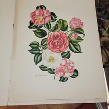Vintage lila moore for sale  Trappe