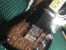 paisley guitar for sale  LINCOLN