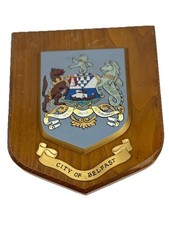 City belfast northern for sale  MILTON KEYNES