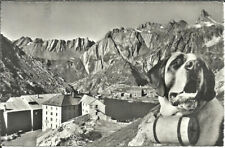 Gran san bernardo usato  Sannazzaro de Burgondi