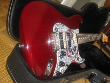 Fender stratocaster custom gebraucht kaufen  Dülmen