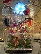 Small insect jumping for sale  LEEDS